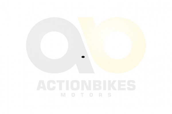 Actionbikes_Dinli_450_DL904_Ventileinstellpltchen_56c1b601bfa0c
