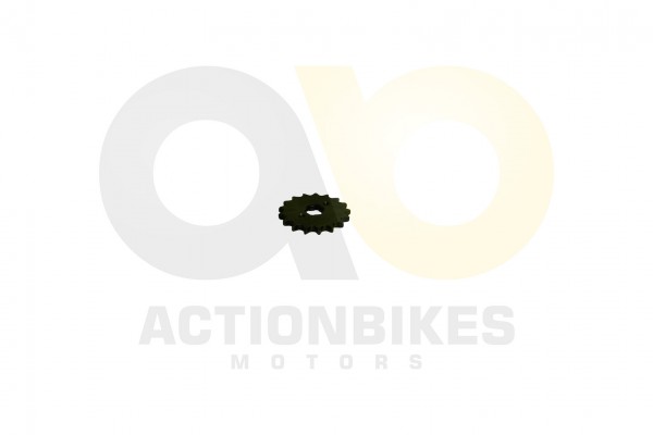 Actionbikes_Shineray_XY250SRM_Ritzel_428x17_313433