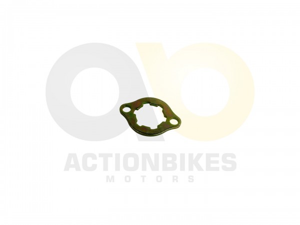Actionbikes_Jinling_Speedstar_JLA_931E_Ritzelsiche