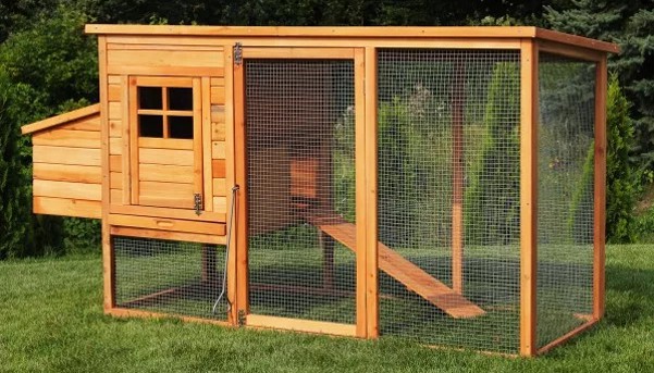 MyAnimal MH-04 Hühnerstall kaufen MH-04 Hühnerstall mit Freilauf und Eiablage