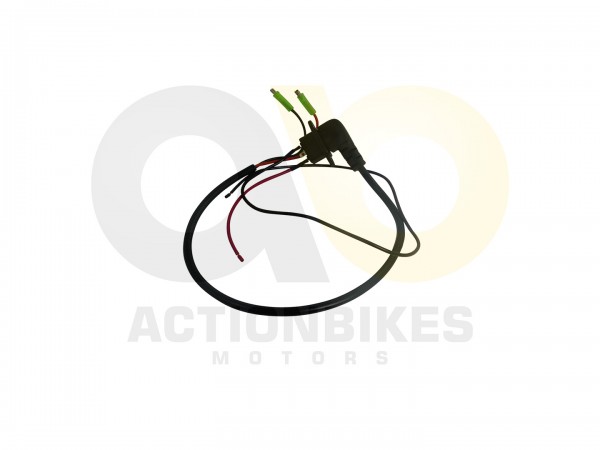 Actionbikes_E_Bike_Fahrrad_Stahl_HS_EBS106_Umrstki