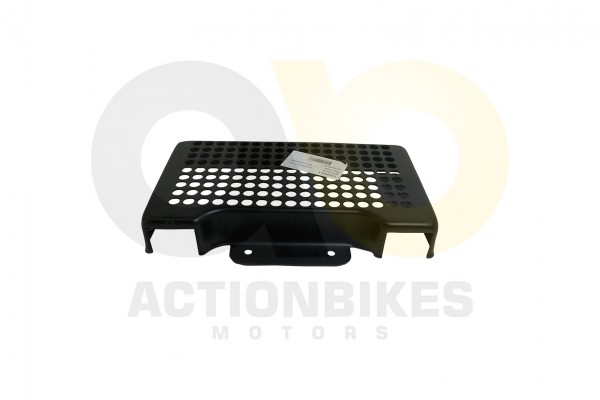 Actionbikes_Shineray_XY200ST_6A_lkhler_Schutzblech