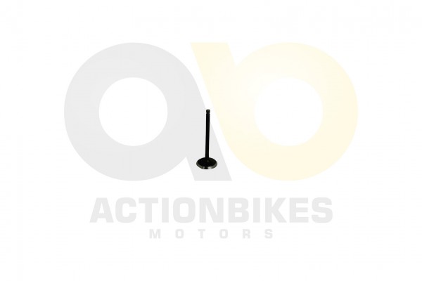 Actionbikes Feishen-Hunter-600cc-Einlassventil 322E312E30312E30343430 01 WZ 1620x1080