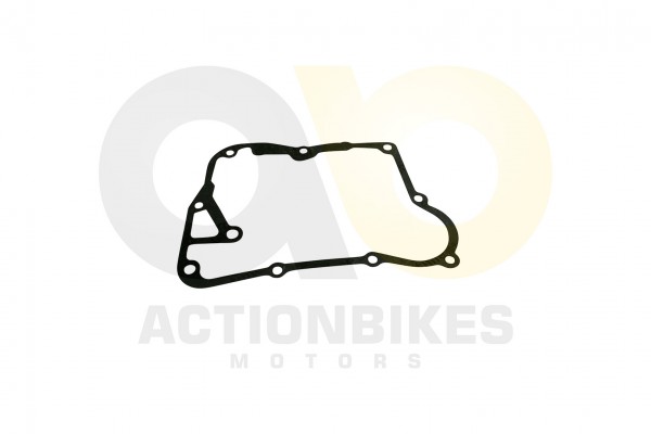 Actionbikes_Shineray_XY150STE_XY200ST_9_Dichtung_L