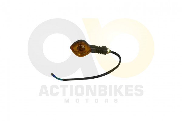Actionbikes_Shineray_XY350ST_2E_Blinker_vorne_rech