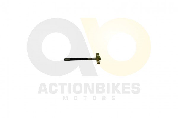 Actionbikes_Feishen_Hunter_600cc_Wasserpumpe_Schau