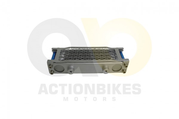 Actionbikes_Shineray_XY200ST_9_lkhler_313730343030