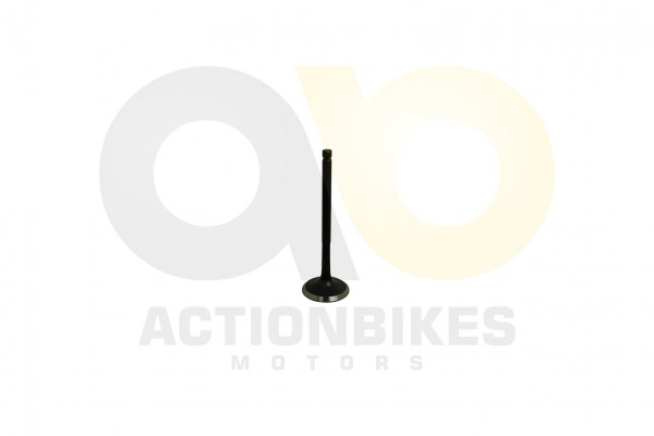 Actionbikes_Shineray_XY200ST_9_Einlaventil_4759362