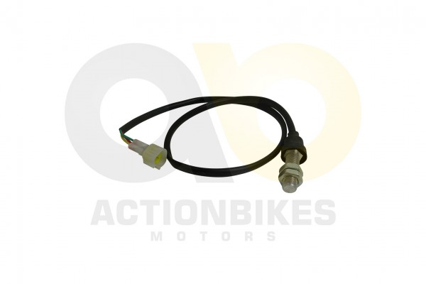Actionbikes Shineray-XY200ST-9-Tachogeber-Stecker-Dreieckig 3337303530303239 01 WZ 1620x1080