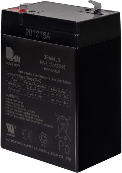 PR0015303-01 Batterie 3FM4 5 001