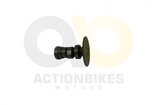 Actionbikes_Shineray_XY200ST_9_Nockenwelle_4759362
