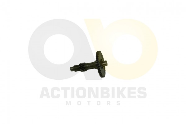 Actionbikes_Speedstar_JLA_931E_Getriebewelle_Zwisc