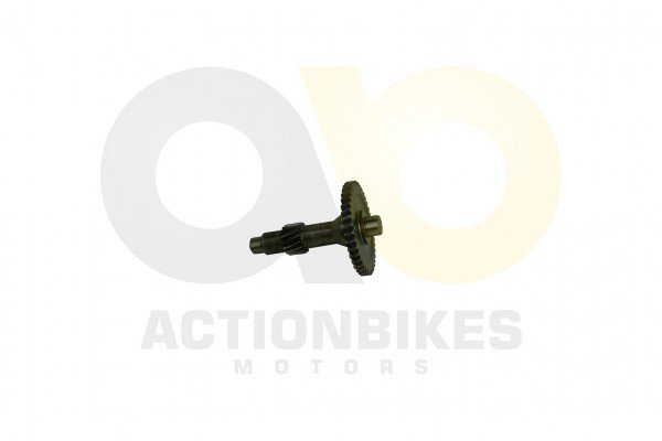 Actionbikes_Speedstar_JLA_931E_Getriebewelle_Zwisc