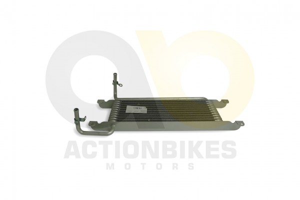 Actionbikes_Feishen_Hunter_600cc_lkhler_322E362E35