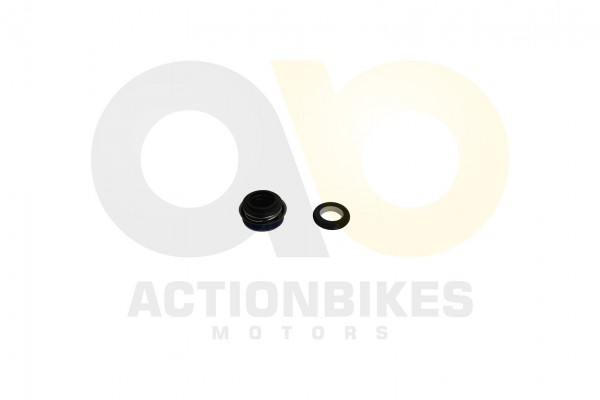 Actionbikes Egl-Mad-Max-300---Wasserpumpendichtungsset 5259313235532D313936323031 01 WZ 1620x1080