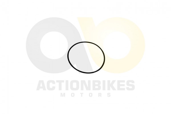 Actionbikes_Shineray_XY125GY_6_Dichtring_Nockenwel