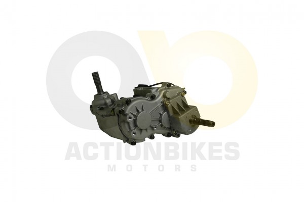 Actionbikes_Feishen_Hunter_600cc_Getriebe_332E322E