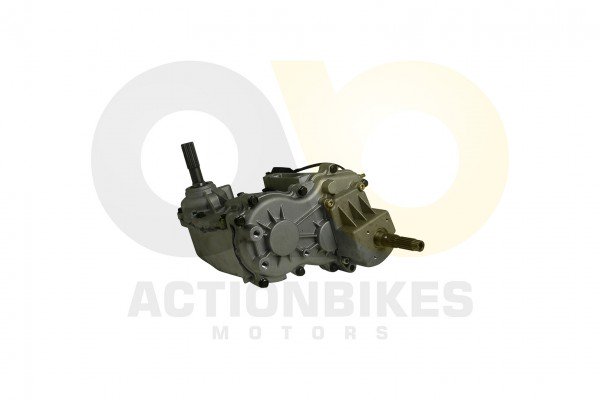 Actionbikes_Feishen_Hunter_600cc_Getriebe_332E322E