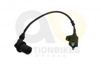 Actionbikes_Zndspule_mit_Stecker_UTV_Odes_150cc_Sa Actionbikes_Zndspule_mit_Stecker_UTV_Odes_150cc_Sa