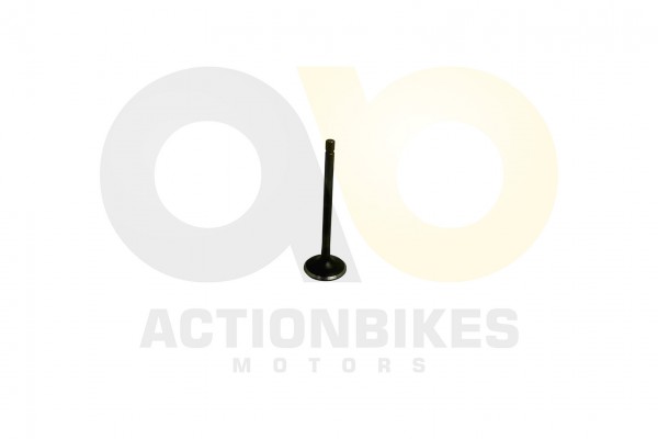 Actionbikes_Shineray_XY250STXE_Auslaventil_3134373