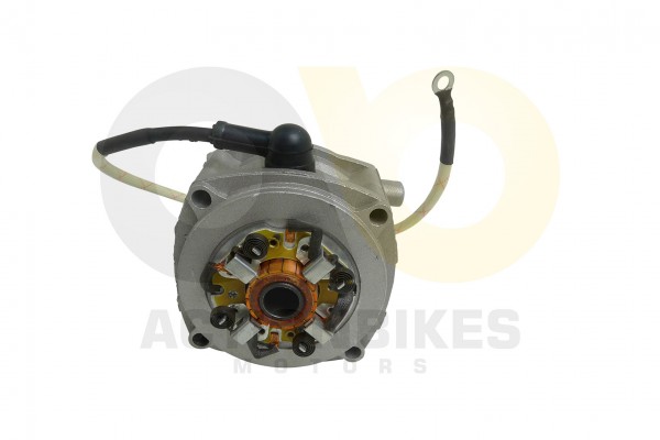 Actionbikes_Miniquad_49_cc_AnlasserLichtmaschine_5