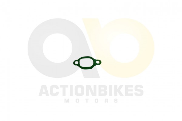 Actionbikes_Shineray_XY350ST_EST_2E_Dichtung_Steue