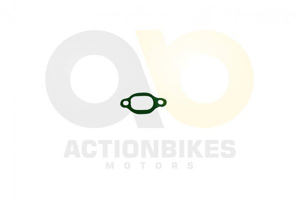Actionbikes_Shineray_XY350ST_EST_2E_Dichtung_Steue
