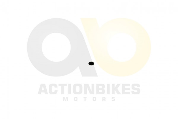 Actionbikes_XYPower_XY500ATV_Ventilscheibe_Set_4_S