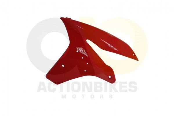 Actionbikes_Shineray_XY250STXE_Verkleidung_vorne_l56c4802eb4a92