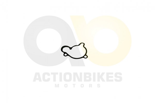 Actionbikes_Kingwell_KWS14_Q300_Dichtung_Wasserpum