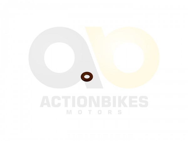 Actionbikes_Shineray_XY250ST_9E_SRM_STIXE_Zylinder