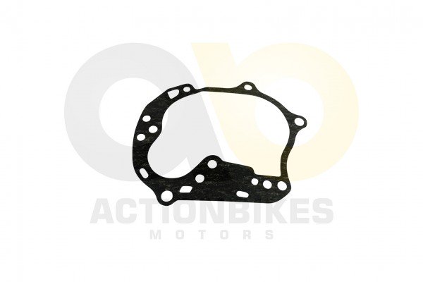 Actionbikes_Motor_1E40QMA_Dichtung_Getriebe_313135