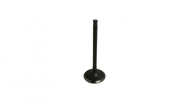 Actionbikes_Motor_250cc_CF172MM_Einlassventil_31343731312D534343302D30303030_01_OL_1620x1080