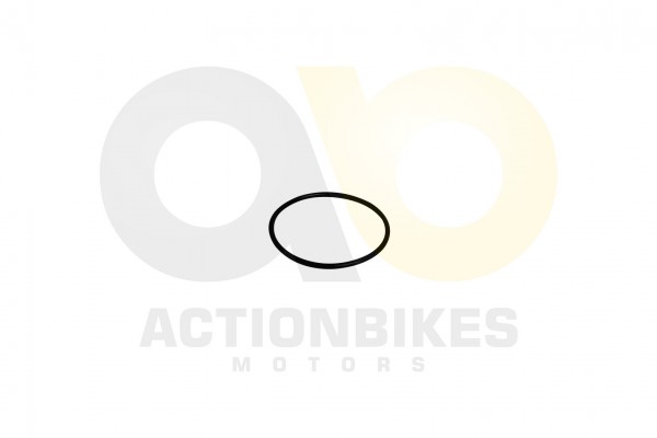 Actionbikes_Shineray_XY250STXE_Dichtring_625x25_De