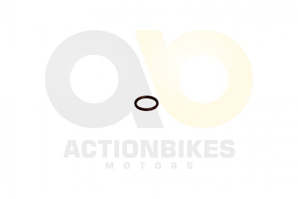 Actionbikes_Shineray_XY250STXE_Dichtung_Auspuffkrm