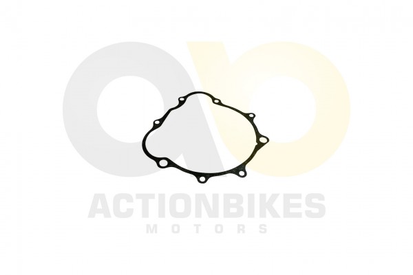 Actionbikes_Shineray_XY200STII_Dichtung_Lichtmasch