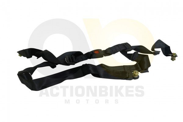 Actionbikes_Kinroad_XT6501100GK_Sicherheitsgurt_4B