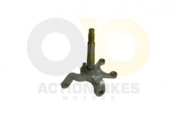 Actionbikes Shineray-Achsschenkel-vorne-rechts-XY250STXE--XY200ST-9--SRM--XY200ST-6ASTXE-PLUS 353134