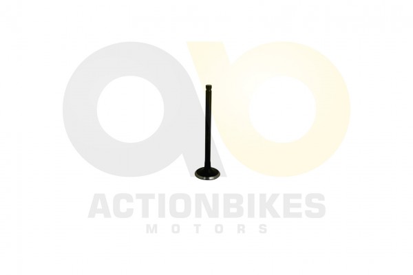 Actionbikes_Shineray_XY200ST_9_Auslaventil_4759362