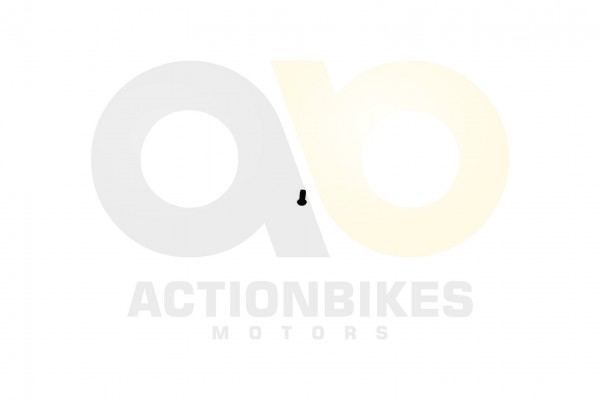 Actionbikes_XYPower_XY500UTV_Trschanier_Befestugun