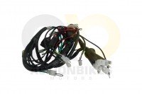 Actionbikes_Kabelbaum_BT49QT_11D_3330343030302D544 Actionbikes_Kabelbaum_BT49QT_11D_3330343030302D544