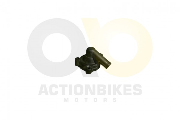 Actionbikes_Shineray_XY250ST_9C_Wasserpumpen_Gehus