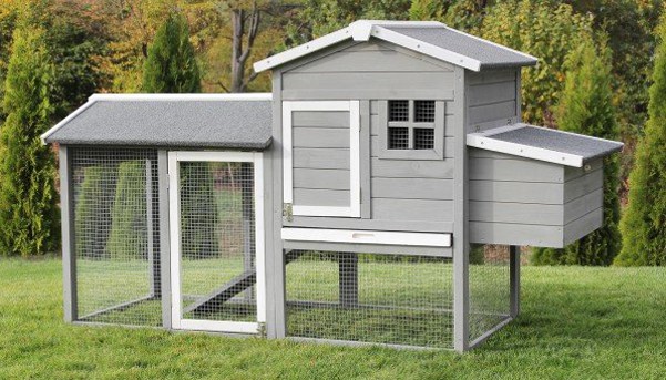 MyAnimal MH-21 Hühnerstall kaufen MH-21 Hühnerstall mit Freilauf und Eiablage