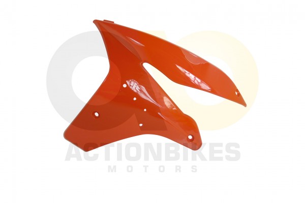 Actionbikes Shineray-XY250STXE-Verkleidung-vorne-links-orange 34333432312D3336382D30303034 01 WZ 162