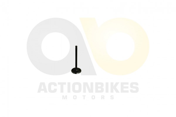 Actionbikes Speedstar-JLA-931E-Einlaventil 4A4C412D393331452D3330302D452D313136 01 WZ 1620x1080