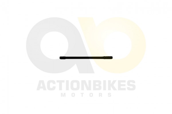 Actionbikes_Shineray_XY250STXE_Stehbplzen_B_fr_Zyl