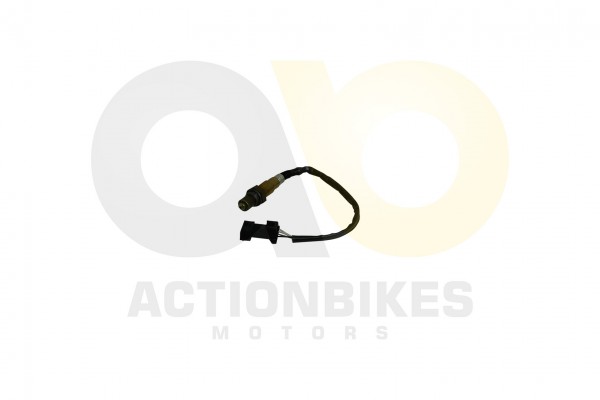 Actionbikes_Dongfang_DF600GK_Lamdasonde_3033303232