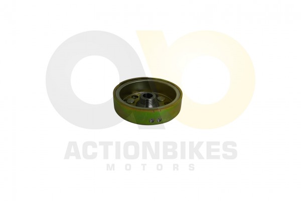 Actionbikes_Shineray_XY350ST_EST_2E_Lichtmaschineg