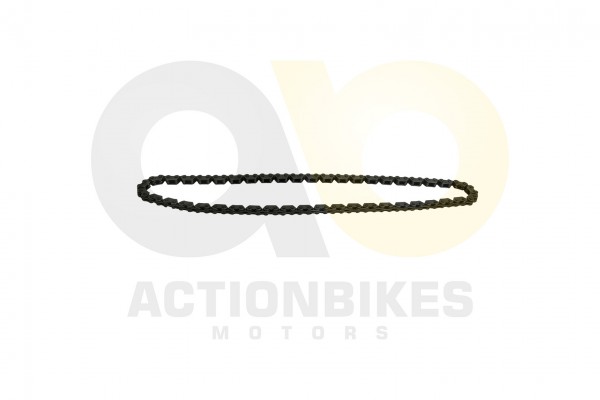Actionbikes_Motor_BN152QMI_ZN125_Steuerkette_424E3