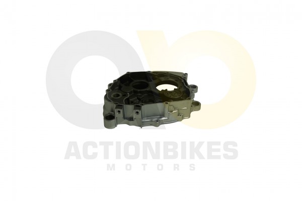 Actionbikes_Shineray_XY250SRM_Motorgehuse_links_31